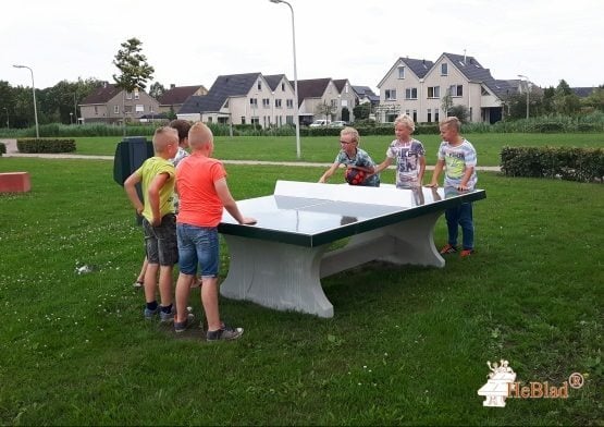 Masă de pingpong, culoare verde din beton, imagine 1